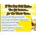 24K GOLD Coin